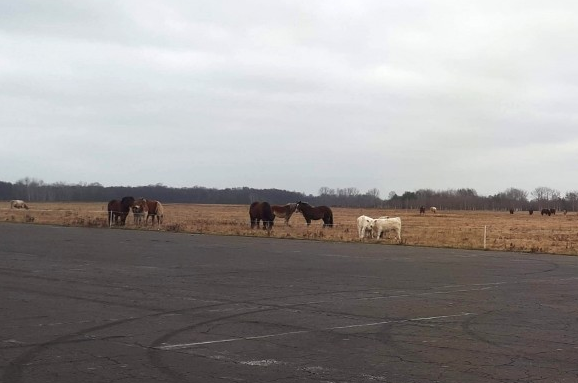 lotnisko w oleśnicy